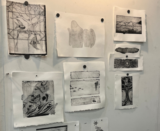 Collection of black-and-white sketches pinned to a white wall, including trees, plants, and landscape images.