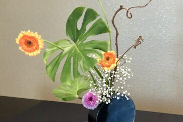 Colorful flower arrangement with orange gerberas, white baby’s breath, green leaves, and curly branches in a blue vase on a dark table surface.