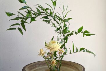 Floral arrangement with pale yellow flowers and green foliage in a round wooden bowl on a light table against a pale wall
