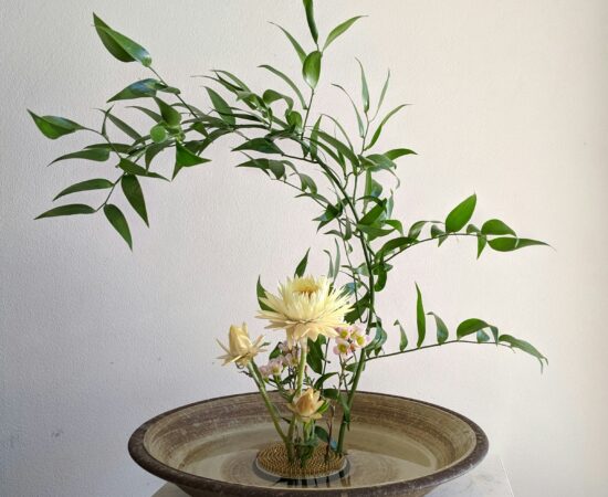 Floral arrangement with pale yellow flowers and green foliage in a round wooden bowl on a light table against a pale wall