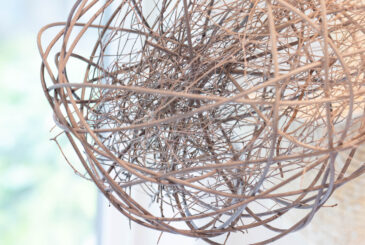Close-up of a tangled wire sculpture hanging indoors near a sunlit window