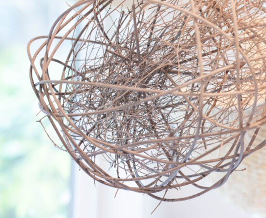 Close-up of a tangled wire sculpture hanging indoors near a sunlit window