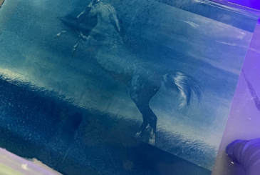 Blue-tinted photo of a horse rearing on a grassy hillside, mane and tail flowing in the wind.