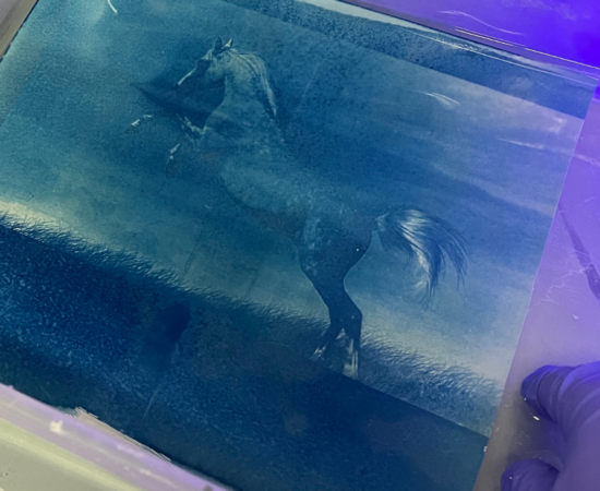 Blue-tinted photo of a horse rearing on a grassy hillside, mane and tail flowing in the wind.